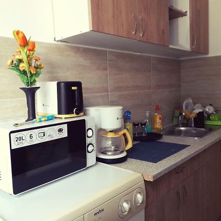 Iasi City Break Rooms Ngoại thất bức ảnh